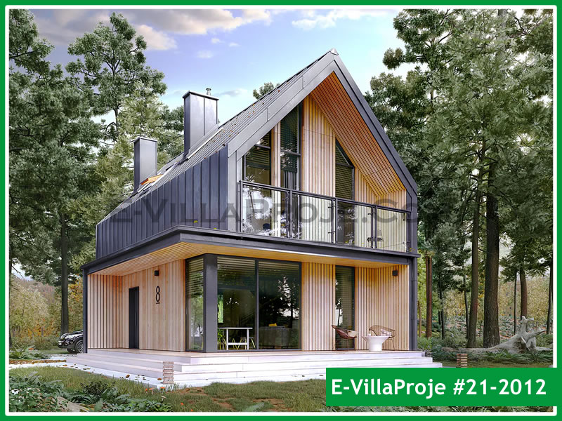 Kastamonu Ev Villa Proje #21 - 2012