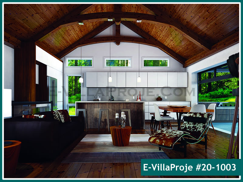 Ev Villa Proje #20 - 1003 Detay 4