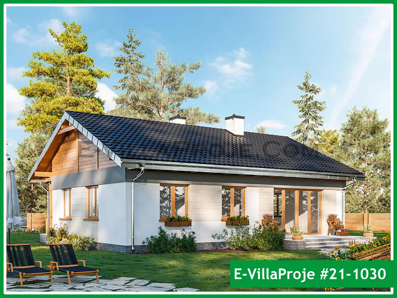 Ev Villa Proje #21 - 1030 Detay 3
