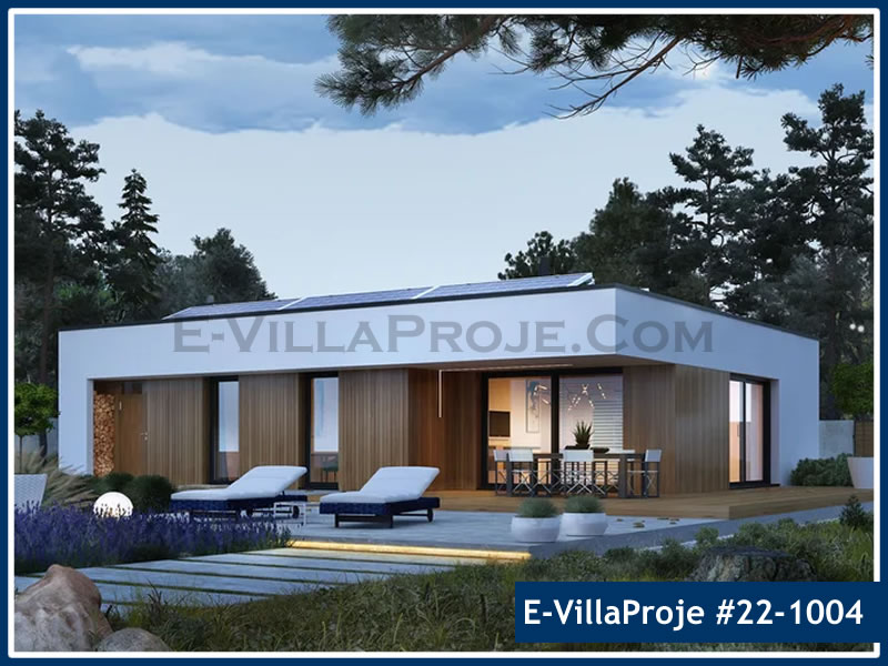 Hatay Ev Villa Proje #22 - 1004