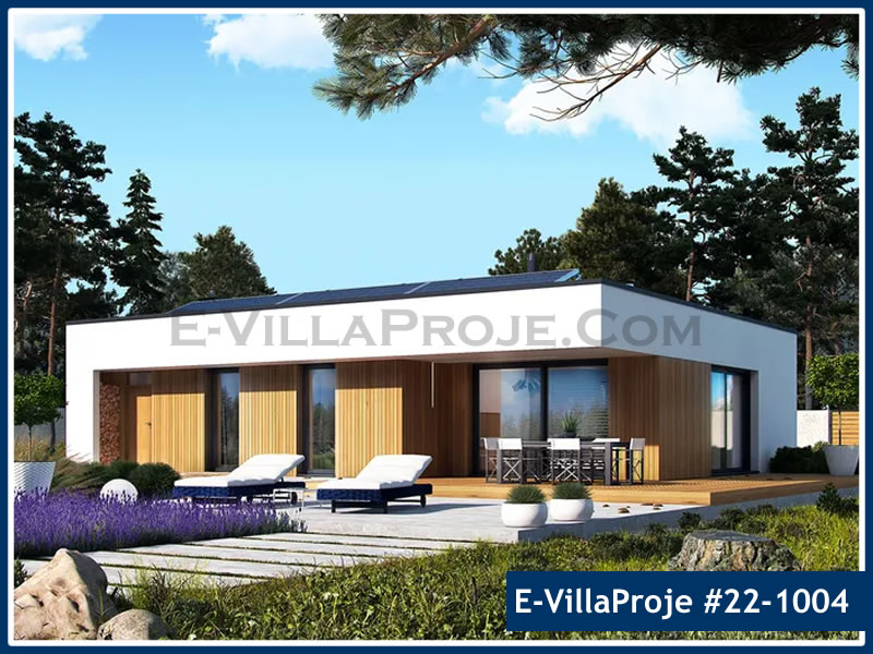Ev Villa Proje #22 - 1004 Detay 3