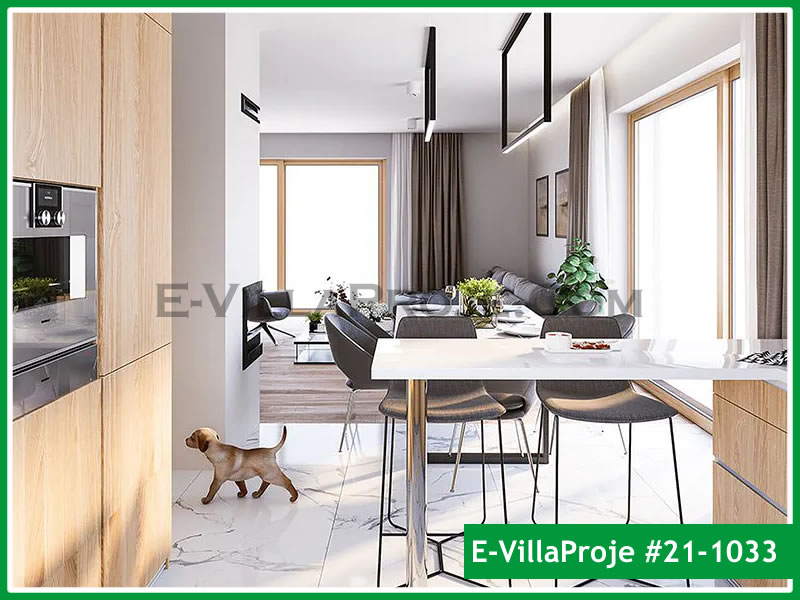 Ev Villa Proje #21 - 1033 Detay 7