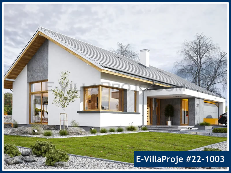 Kars Ev Villa Proje #22 - 1003