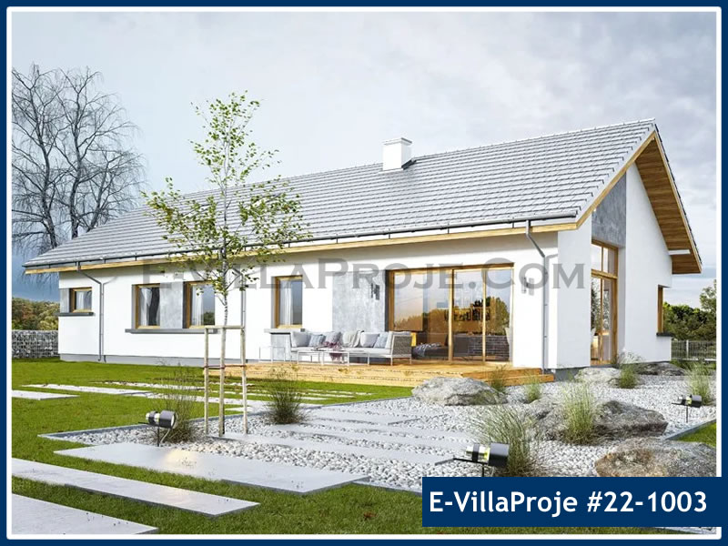 Ev Villa Proje #22 - 1003 Detay 3