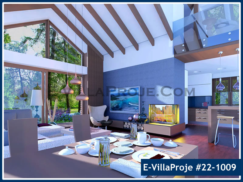 Ev Villa Proje #22 - 1009 Detay 5