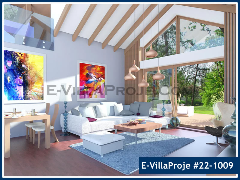 Ev Villa Proje #22 - 1009 Detay 7