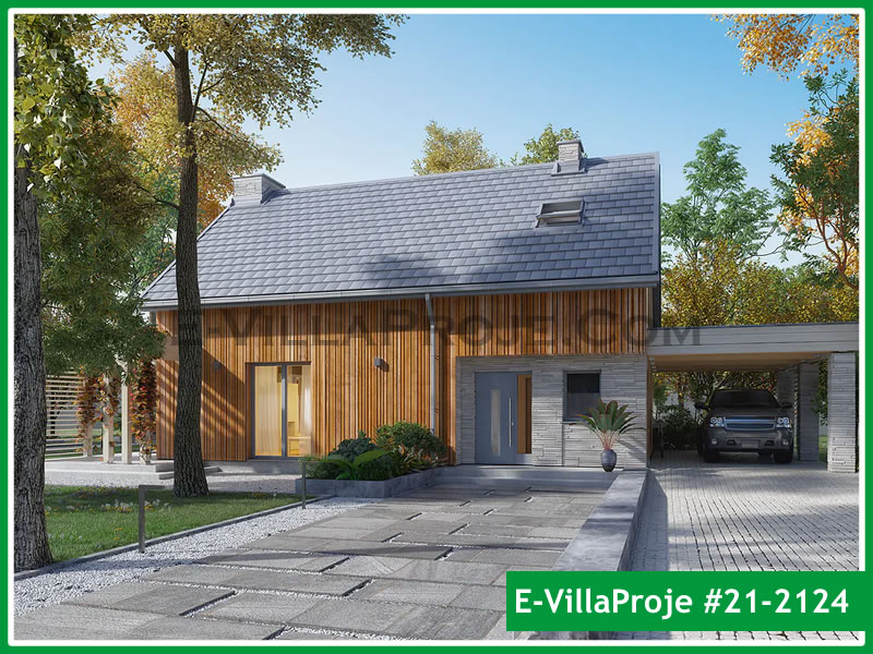 Ev Villa Proje #21 - 2124 Detay 6