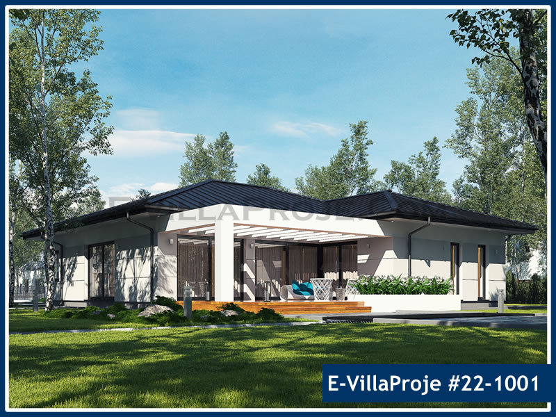 Ev Villa Proje #22 - 1001 Detay 3