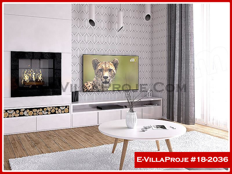 Ev Villa Proje #18 - 2036 Detay 8
