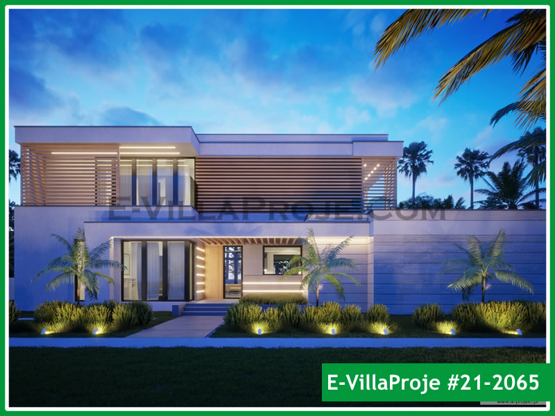 Ev Villa Proje #21 - 2065 Detay 4