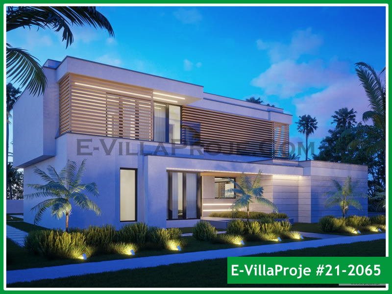Ev Villa Proje #21 - 2065 Detay 5