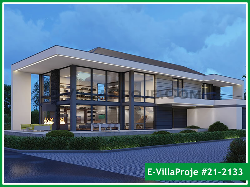 Ev Villa Proje #21 - 2133 Detay 5
